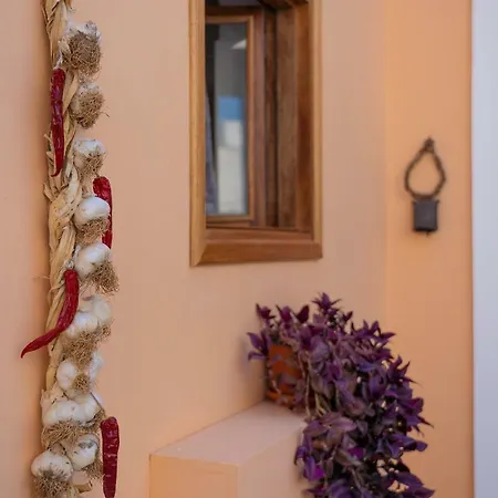 Rose Traditional House *