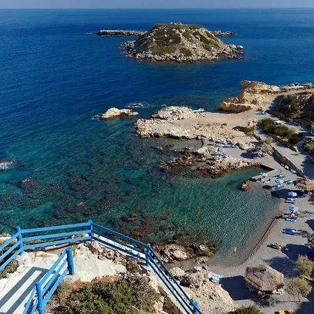 Rose Traditional House *